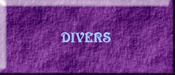 Divers