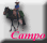 Campo