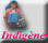 Populations Indigènes