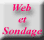 Web, vos créations, sondage