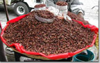 Chapulines