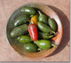 Chile Jalapa ou Jalapeno